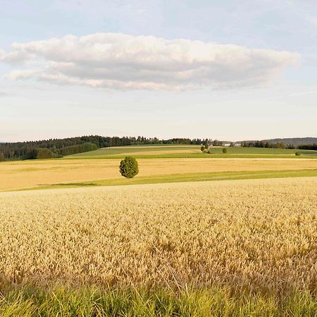 Bantlehof Appartement Niedereschach Buitenkant foto